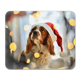 Коврик прямоугольный с принтом Рождество в Кировске, натуральный каучук | размер 230 х 185 мм; запечатка лицевой стороны | dog | кавалер кинг чарльз спаниель | новый год | пес | рождество | собака