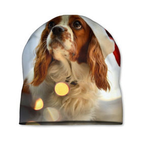 Шапка 3D с принтом Рождество в Кировске, 100% полиэстер | универсальный размер, печать по всей поверхности изделия | Тематика изображения на принте: dog | кавалер кинг чарльз спаниель | новый год | пес | рождество | собака