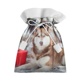 Подарочный 3D мешок с принтом Хаски в Кировске, 100% полиэстер | Размер: 29*39 см | dog | лабрадор | мопс | пес | собака | такса | хаски | щеночек