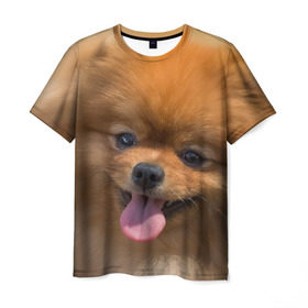 Мужская футболка 3D с принтом Милашка в Кировске, 100% полиэфир | прямой крой, круглый вырез горловины, длина до линии бедер | dog | пес | померанский | собака | шпиц | щеночек