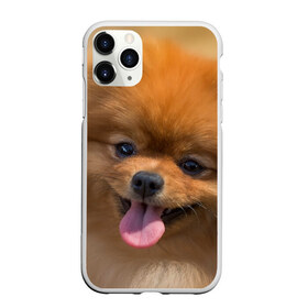 Чехол для iPhone 11 Pro матовый с принтом Милашка в Кировске, Силикон |  | Тематика изображения на принте: dog | пес | померанский | собака | шпиц | щеночек