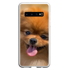 Чехол для Samsung Galaxy S10 с принтом Милашка в Кировске, Силикон | Область печати: задняя сторона чехла, без боковых панелей | dog | пес | померанский | собака | шпиц | щеночек