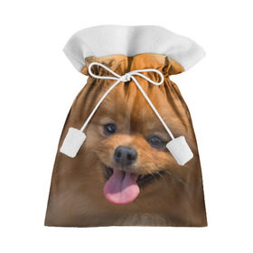 Подарочный 3D мешок с принтом Милашка в Кировске, 100% полиэстер | Размер: 29*39 см | dog | пес | померанский | собака | шпиц | щеночек