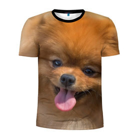 Мужская футболка 3D спортивная с принтом Милашка в Кировске, 100% полиэстер с улучшенными характеристиками | приталенный силуэт, круглая горловина, широкие плечи, сужается к линии бедра | dog | пес | померанский | собака | шпиц | щеночек