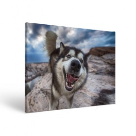 Холст прямоугольный с принтом Smile в Кировске, 100% ПВХ |  | dog | лабрадор | мопс | пес | собака | такса | хаски | щеночек