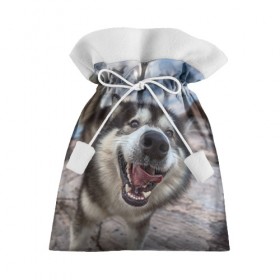 Подарочный 3D мешок с принтом Smile в Кировске, 100% полиэстер | Размер: 29*39 см | dog | лабрадор | мопс | пес | собака | такса | хаски | щеночек