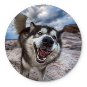 Коврик круглый с принтом Smile в Кировске, резина и полиэстер | круглая форма, изображение наносится на всю лицевую часть | dog | лабрадор | мопс | пес | собака | такса | хаски | щеночек