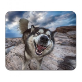 Коврик прямоугольный с принтом Smile в Кировске, натуральный каучук | размер 230 х 185 мм; запечатка лицевой стороны | dog | лабрадор | мопс | пес | собака | такса | хаски | щеночек