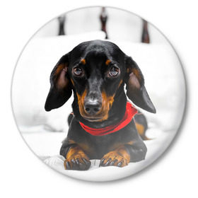 Значок с принтом Пёсик в Кировске,  металл | круглая форма, металлическая застежка в виде булавки | dog | пес | собака | такса | щеночек