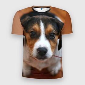 Мужская футболка 3D спортивная с принтом Щеночек в Кировске, 100% полиэстер с улучшенными характеристиками | приталенный силуэт, круглая горловина, широкие плечи, сужается к линии бедра | dog | бигль | пес | собака | щеночек