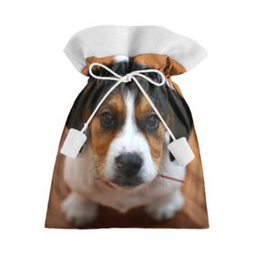 Подарочный 3D мешок с принтом Щеночек в Кировске, 100% полиэстер | Размер: 29*39 см | dog | бигль | пес | собака | щеночек