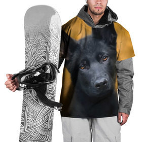Накидка на куртку 3D с принтом Doggy в Кировске, 100% полиэстер |  | dog | овчарка | пес | собака | черная овчарка | щеночек