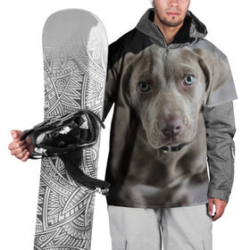 Накидка на куртку 3D с принтом Puppy в Кировске, 100% полиэстер |  | Тематика изображения на принте: dog | веймаранер | пес | собака | щеночек