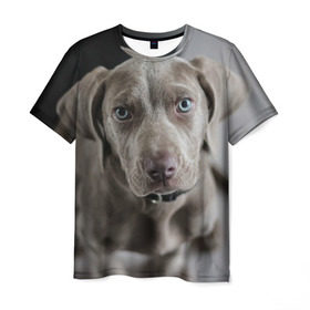Мужская футболка 3D с принтом Puppy в Кировске, 100% полиэфир | прямой крой, круглый вырез горловины, длина до линии бедер | Тематика изображения на принте: dog | веймаранер | пес | собака | щеночек