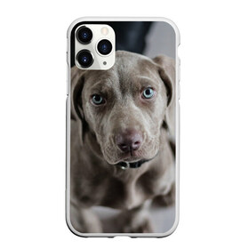 Чехол для iPhone 11 Pro матовый с принтом Puppy в Кировске, Силикон |  | dog | веймаранер | пес | собака | щеночек