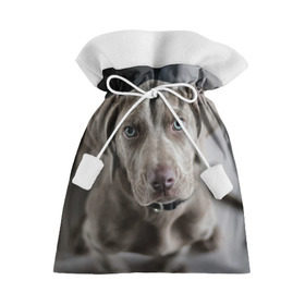Подарочный 3D мешок с принтом Puppy в Кировске, 100% полиэстер | Размер: 29*39 см | Тематика изображения на принте: dog | веймаранер | пес | собака | щеночек