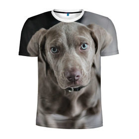 Мужская футболка 3D спортивная с принтом Puppy в Кировске, 100% полиэстер с улучшенными характеристиками | приталенный силуэт, круглая горловина, широкие плечи, сужается к линии бедра | Тематика изображения на принте: dog | веймаранер | пес | собака | щеночек