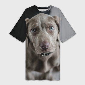 Платье-футболка 3D с принтом Puppy в Кировске,  |  | Тематика изображения на принте: dog | веймаранер | пес | собака | щеночек