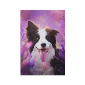 Обложка для паспорта матовая кожа с принтом Happy в Кировске, натуральная матовая кожа | размер 19,3 х 13,7 см; прозрачные пластиковые крепления | Тематика изображения на принте: dog | бордер колли | пес | собака