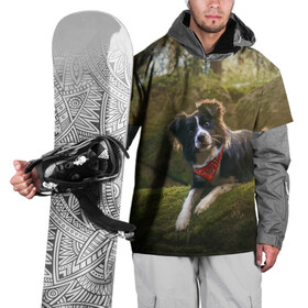 Накидка на куртку 3D с принтом Лес в Кировске, 100% полиэстер |  | Тематика изображения на принте: dog | бордер колли | пес | собака