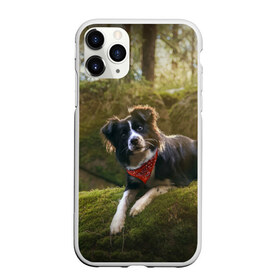 Чехол для iPhone 11 Pro матовый с принтом Лес в Кировске, Силикон |  | dog | бордер колли | пес | собака