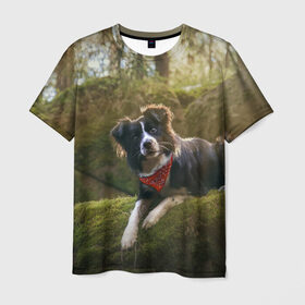 Мужская футболка 3D с принтом Лес в Кировске, 100% полиэфир | прямой крой, круглый вырез горловины, длина до линии бедер | Тематика изображения на принте: dog | бордер колли | пес | собака