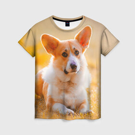 Женская футболка 3D с принтом Взгляд в Кировске, 100% полиэфир ( синтетическое хлопкоподобное полотно) | прямой крой, круглый вырез горловины, длина до линии бедер | dog | вельш корги | корги | пес | собака