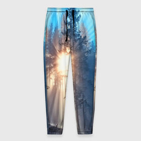 Мужские брюки 3D с принтом Woodland в Кировске, 100% полиэстер | манжеты по низу, эластичный пояс регулируется шнурком, по бокам два кармана без застежек, внутренняя часть кармана из мелкой сетки | деревья | лес | пейзаж