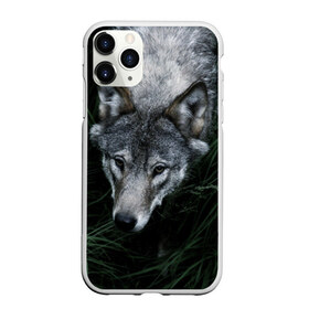 Чехол для iPhone 11 Pro Max матовый с принтом Волк в траве в Кировске, Силикон |  | природа | серый | хищник