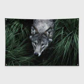 Флаг-баннер с принтом Волк в траве в Кировске, 100% полиэстер | размер 67 х 109 см, плотность ткани — 95 г/м2; по краям флага есть четыре люверса для крепления | природа | серый | хищник
