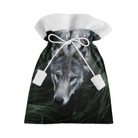 Подарочный 3D мешок с принтом Волк в траве в Кировске, 100% полиэстер | Размер: 29*39 см | природа | серый | хищник