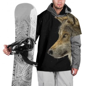 Накидка на куртку 3D с принтом Волк и звезды в Кировске, 100% полиэстер |  | животные | зверь | серый | хищник