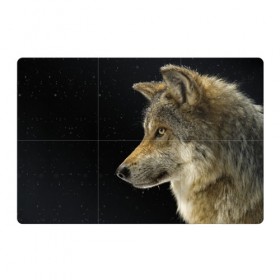 Магнитный плакат 3Х2 с принтом Волк и звезды в Кировске, Полимерный материал с магнитным слоем | 6 деталей размером 9*9 см | животные | зверь | серый | хищник
