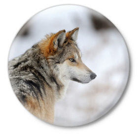 Значок с принтом Хозяин леса в Кировске,  металл | круглая форма, металлическая застежка в виде булавки | волк | серый