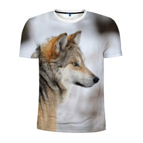 Мужская футболка 3D спортивная с принтом Хозяин леса в Кировске, 100% полиэстер с улучшенными характеристиками | приталенный силуэт, круглая горловина, широкие плечи, сужается к линии бедра | Тематика изображения на принте: волк | серый
