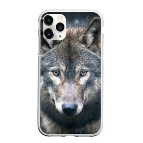 Чехол для iPhone 11 Pro матовый с принтом Серый волк в Кировске, Силикон |  | аука | бирюк | волк | волчара | волчица | волчок | глаза | животное | животные | зверь | зеленые | койот | лес | млекопитающее | природа | санитар леса | серый | уши | фауна | хищник | черный | шакал