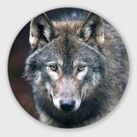Коврик круглый с принтом Серый волк в Кировске, резина и полиэстер | круглая форма, изображение наносится на всю лицевую часть | аука | бирюк | волк | волчара | волчица | волчок | глаза | животное | животные | зверь | зеленые | койот | лес | млекопитающее | природа | санитар леса | серый | уши | фауна | хищник | черный | шакал