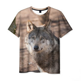 Мужская футболка 3D с принтом Серый волк в Кировске, 100% полиэфир | прямой крой, круглый вырез горловины, длина до линии бедер | аука | бирюк | волк | волчара | волчица | волчок | глаза | животное | животные | зверь | зеленые | койот | лес | млекопитающее | природа | санитар леса | серый | уши | фауна | хищник | черный | шакал