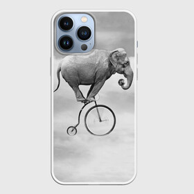 Чехол для iPhone 13 Pro Max с принтом Hipster Bike в Кировске,  |  | Тематика изображения на принте: elephant | hipster | индия | йога | слон | хипстер