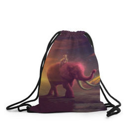 Рюкзак-мешок 3D с принтом Индия в Кировске, 100% полиэстер | плотность ткани — 200 г/м2, размер — 35 х 45 см; лямки — толстые шнурки, застежка на шнуровке, без карманов и подкладки | elephant | hipster | индия | йога | слон | хипстер