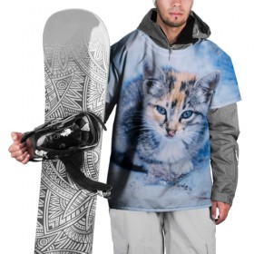 Накидка на куртку 3D с принтом Трехцветный котенок зимой в Кировске, 100% полиэстер |  | грустный | добрый | животное | киса | киска кися | кот | котенок | котэ | кошка | красивый | лапа | лапка | ласковый | милый | моська | мурлыка | прикольный | смешной | унылый | усатый | шерсть