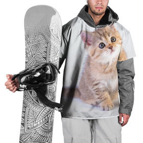 Накидка на куртку 3D с принтом Любопытный котенок в Кировске, 100% полиэстер |  | грустный | добрый | животное | киса | киска кися | кот | котенок | котэ | кошка | красивый | лапа | лапка | ласковый | милый | моська | мурлыка | прикольный | смешной | унылый | усатый | шерсть