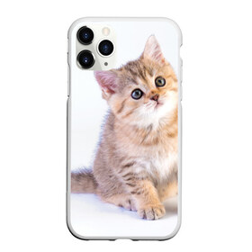 Чехол для iPhone 11 Pro Max матовый с принтом Любопытный котенок в Кировске, Силикон |  | грустный | добрый | животное | киса | киска кися | кот | котенок | котэ | кошка | красивый | лапа | лапка | ласковый | милый | моська | мурлыка | прикольный | смешной | унылый | усатый | шерсть