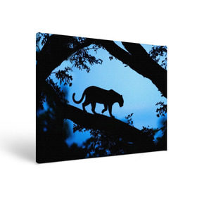Холст прямоугольный с принтом Чёрная пантера в Кировске, 100% ПВХ |  | Тематика изображения на принте: африка | вечер | дерево | дикая кошка | закат | леопард | сафари | ягуар