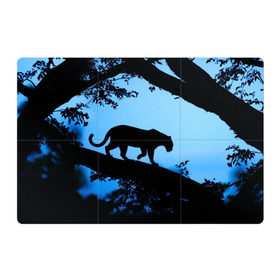 Магнитный плакат 3Х2 с принтом Чёрная пантера в Кировске, Полимерный материал с магнитным слоем | 6 деталей размером 9*9 см | Тематика изображения на принте: африка | вечер | дерево | дикая кошка | закат | леопард | сафари | ягуар