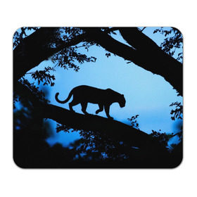 Коврик прямоугольный с принтом Чёрная пантера в Кировске, натуральный каучук | размер 230 х 185 мм; запечатка лицевой стороны | Тематика изображения на принте: африка | вечер | дерево | дикая кошка | закат | леопард | сафари | ягуар