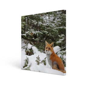 Холст квадратный с принтом Лиса в зимнем лесу в Кировске, 100% ПВХ |  | fox | животное | зверь | красивая | лес | лис | лиса | лисенок | лисица | лисичка | мех | патрикеевна | песец | плутовка | прикольная | природа | рыжая | рыжий цвет | сказка | хвост | хитрая | хищник