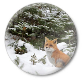 Значок с принтом Лиса в зимнем лесу в Кировске,  металл | круглая форма, металлическая застежка в виде булавки | fox | животное | зверь | красивая | лес | лис | лиса | лисенок | лисица | лисичка | мех | патрикеевна | песец | плутовка | прикольная | природа | рыжая | рыжий цвет | сказка | хвост | хитрая | хищник