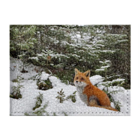 Обложка для студенческого билета с принтом Лиса в зимнем лесу в Кировске, натуральная кожа | Размер: 11*8 см; Печать на всей внешней стороне | Тематика изображения на принте: fox | животное | зверь | красивая | лес | лис | лиса | лисенок | лисица | лисичка | мех | патрикеевна | песец | плутовка | прикольная | природа | рыжая | рыжий цвет | сказка | хвост | хитрая | хищник