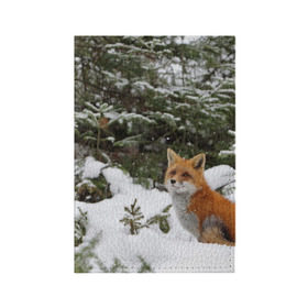 Обложка для паспорта матовая кожа с принтом Лиса в зимнем лесу в Кировске, натуральная матовая кожа | размер 19,3 х 13,7 см; прозрачные пластиковые крепления | Тематика изображения на принте: fox | животное | зверь | красивая | лес | лис | лиса | лисенок | лисица | лисичка | мех | патрикеевна | песец | плутовка | прикольная | природа | рыжая | рыжий цвет | сказка | хвост | хитрая | хищник
